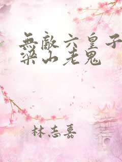 无敌六皇子下载梁山老鬼
