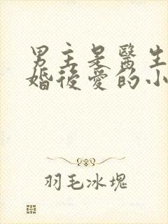 男主是医生的先婚后爱的小说