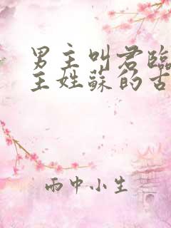 男主叫君临渊女主姓苏的古言小说