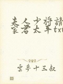 夫人少将请您回家君太平txt