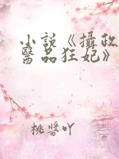 小说《摄政王的医品狂妃》