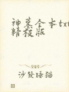 神墓全本txt精校版