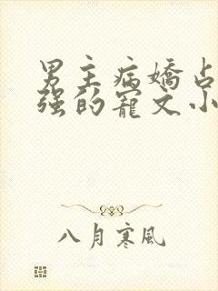 男主病娇占有欲强的宠文小说推荐