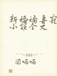 新婚娇妻宠上瘾小说全文
