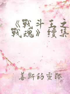 《战斗王之飓风战魂》续集