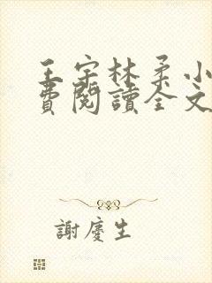 王宇林柔小说免费阅读全文最新章节