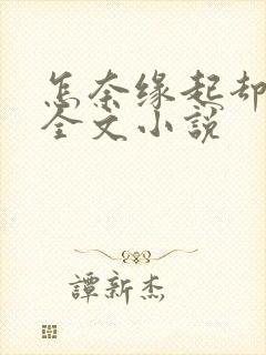 怎奈缘起却浅薄全文小说