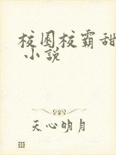 校园校霸甜宠文 小说