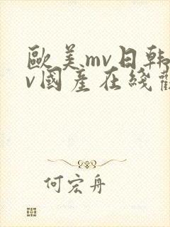 欧美mv日韩mv国产在线观看