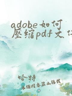 adobe如何压缩pdf文件大小