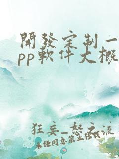 开发定制一个app软件大概多少钱