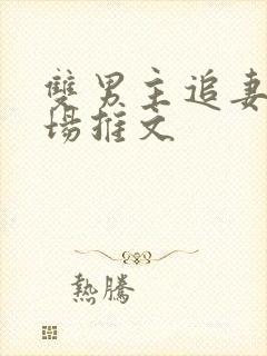 双男主追妻火葬场推文