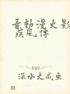 看动漫火影忍者 疾风传