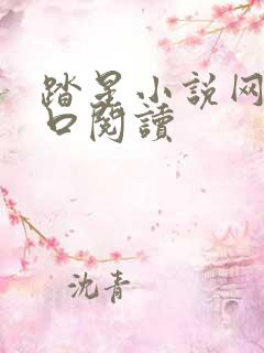 踏星小说网站入口阅读