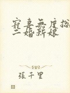 宠妻无度总裁的二婚新娘