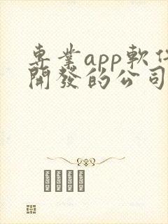 专业app软件开发的公司