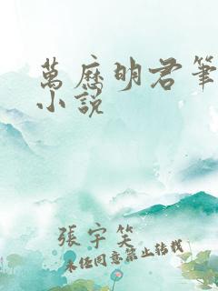 万历明君笔趣阁小说