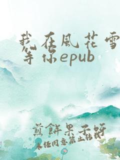 我在风花雪月里等你epub