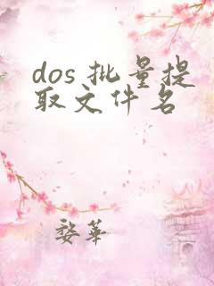dos 批量提取文件名