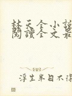 林天全小说免费阅读全文最新章节