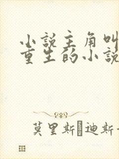 小说主角叫叶枫重生的小说