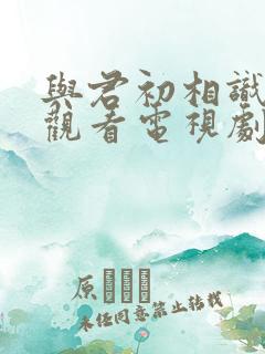 与君初相识免费观看电视剧全集