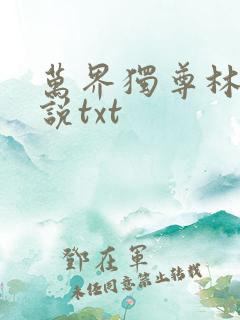 万界独尊林枫小说txt