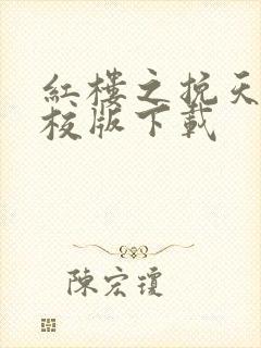 红楼之挽天倾精校版下载