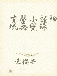 有声小说神澜奇域无双珠