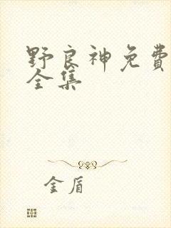 野良神免费观看全集