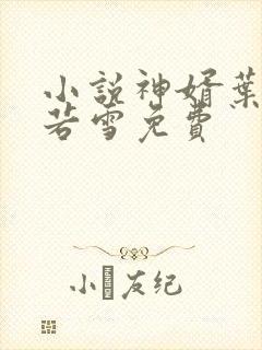 小说神婿叶凡唐若雪免费