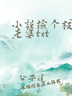 小说捡个校花做老婆txt
