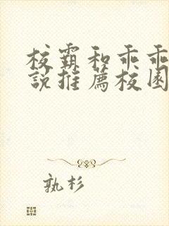 校霸和乖乖女小说推荐校园甜宠文