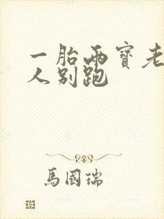 一胎两宝老婆大人别跑