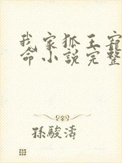 我家狐王宠妻如命小说完整免费