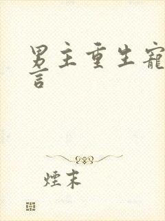 男主重生宠妻古言