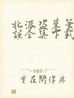 北派盗墓笔记小说全集下载