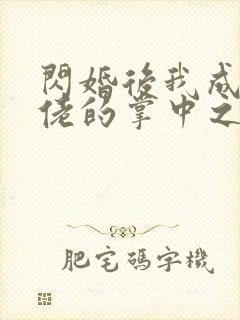 闪婚后我成了大佬的掌中之物哪里免费