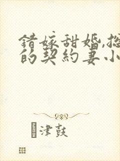 错嫁甜婚,总裁的契约妻小说