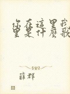 你在这里我在哪里是什么歌的歌词