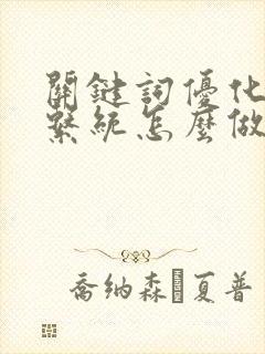 关键词优化排名系统怎么做