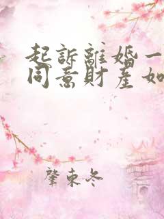 起诉离婚一方不同意财产如何分配