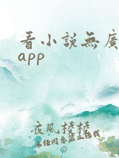 看小说无广告的app