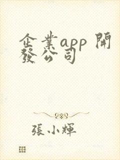 企业app 开发公司