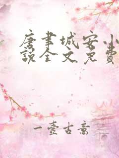 唐聿城安小兔小说全文免费阅读