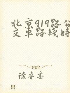 北京919路公交车路线时间表