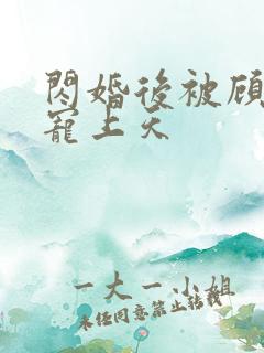 闪婚后被顾先生宠上天