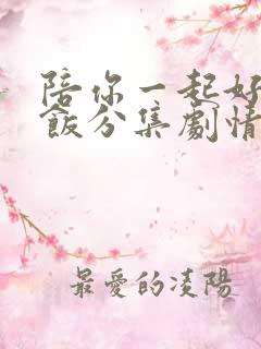 陪你一起好好吃饭分集剧情介绍