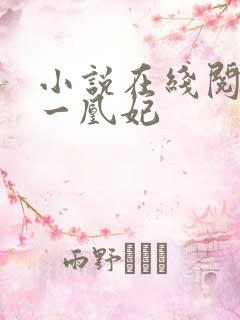 小说在线阅读第一凰妃