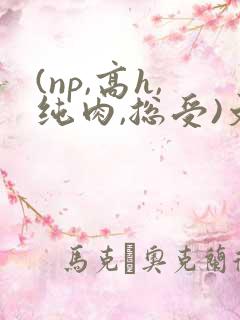 (np,高h,纯肉,总受)文